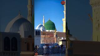 Islam main sud or haram khana najiz hai ytshorts bayan freepalestin bayan weloveislam love [upl. by Araek474]