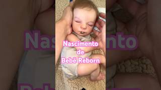 beberebornrealista viralvideo bebê bebe bebereborn bebereborn maternidade viralvideo [upl. by Aileahcim278]