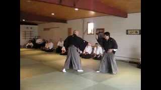 Tessen Jutsu kata from the Seitei sets [upl. by Aneres]