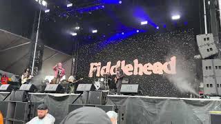 Fiddlehead  Heart to Heart  Live Chicago Riot Fest 2024 [upl. by Dolph]