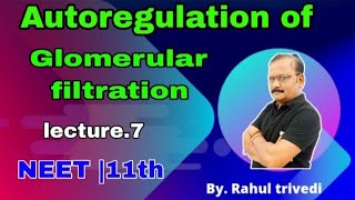 Auto regulation of glomerular filtration myogenic regulation NEET 11thby Rahul trivedi [upl. by Eedrahs]