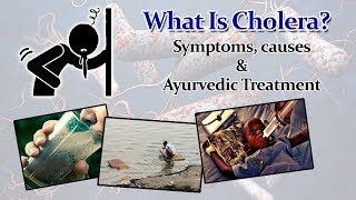 How Cholera Affects Your Body Symptoms Causes and Ayurvedic Treatment For Cholera [upl. by Akirehc374]