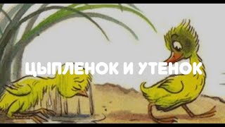 АУДИОСКАЗКА НА НОЧЬ quotЦЫПЛЕНОК И УТЕНОКquot [upl. by Sungam]