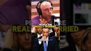 Rogan on Mark Zuckerberg Speaking Mandarin in China [upl. by Kahler]