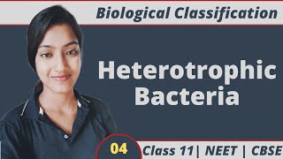 Biological Classification 04  Heterotrophic Bacteria  Mycoplasma  Class 11 NEET  Suman Yadav [upl. by Ketti]