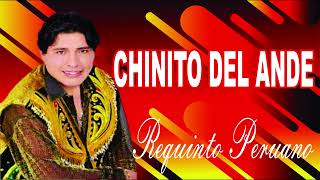 chinito del ande antiguo 2005 II [upl. by Etnor78]