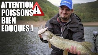 ATTENTION POISSONS BIEN EDUQUES  feat Feeling Fishing [upl. by Sayette]