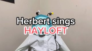 Herbert sings “Hayloft” by Mother Mother [upl. by Nirrok]