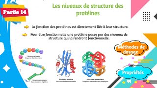 Biochimie  Structure des protéines  Partie 1414 [upl. by Vladimar]