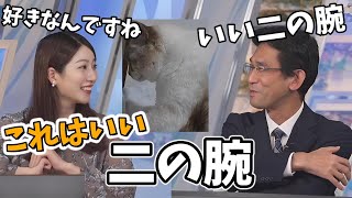 【魚住茉由・山口剛央】猫リポートを見る山口さんの着眼点が一味違う【ウェザーニュース切り抜き】 [upl. by Mellar]