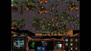 StarCraft Brood War  Tarpit Defense 33 GLITCHED ENDING [upl. by Tnairb]