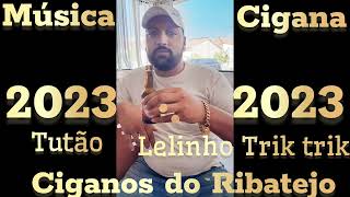 MÚSICA CIGANA 2023 CIGANOS DO RIBATEJO  TUTÃO E LELINHO TRIK TRIK [upl. by Jonme]