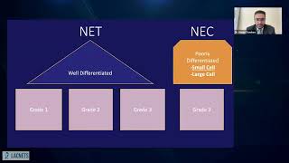 Dr Aman Chauhan discusses the DAREON™ 5 DLL3 BiTE for Neuroendocrine Cancers [upl. by Nonnaihr]