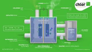 Euro Chlor  How is chloralkali made using membrane technology [upl. by Ulrika457]