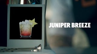 JUNIPER BREEZE DRINK RECIPE  HOW TO MIX [upl. by Kerman]