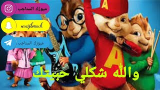 اغنيه شكلي حبيتك بصوت السناجب تقليد صوت السناجب [upl. by Aicilihp]