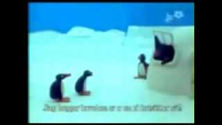 Pingu Verarsche SchweizerDeutsch [upl. by Enomrej]