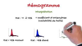 Hémogramme pour étudiant en médecine [upl. by Naej166]