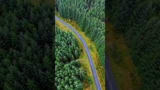 Exploring the Breathtaking Roads Cairngorms National Park  nature naturelovers scotland travel [upl. by Coe]