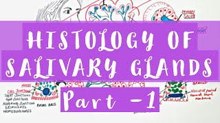 Histology of Salivary Glands  Part 1 [upl. by Uos626]