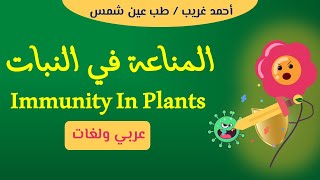 المناعة في النبات كاملا  مناعة تركيبية وبيوكيميائية  Immunity in Plants [upl. by Dragelin]