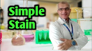 Bacterial Simple Stain Procedure [upl. by Slemmer580]