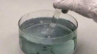 Reaction of Calcium with Water [upl. by Erreit]