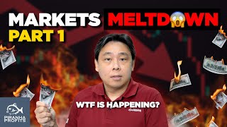 Markets Meltdown WTF Is Happening Part 1 of 2 [upl. by Natal]