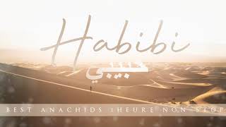 HABIBI  BEST ANACHIDS MUSLIM 100 DOUF  1 H NONSTOP [upl. by Ettezel]