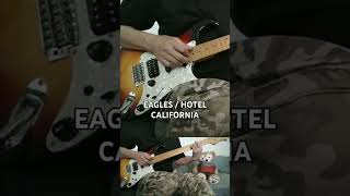 EAGLES  HOTEL CALIFORNIA [upl. by Ijan808]