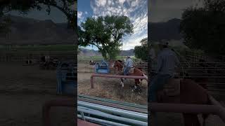 Practicing for the rodeo music song teamroping headshot heeling catch rodeo roping [upl. by Kurtz207]