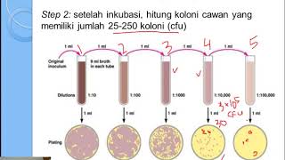 Praktikum Bioproses Perhitungan Mikroba [upl. by Abbie396]