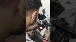 Pus cells under microscope  Urine examination under microscope youtubeshorts feedshorts bmlt [upl. by Wendalyn872]