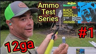 12ga Ammo Test Series 1 Brenneke BLACK MAGIC MAGNUM 3quot 600gr AccuracyGel [upl. by Knight49]