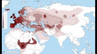 The Rh negative Wanderlust gene [upl. by Ahseenal]