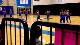 Eisenhower Eaglettes Dance Team [upl. by Mahau]