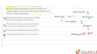 A  Holophytic protistans are important phytoplanktons and they contibute 80 of [upl. by Anne]