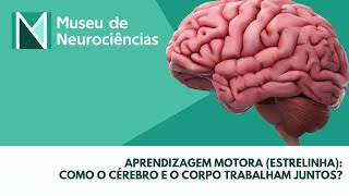 Aprendizagem Motora Estrelinha  Descomplicando as Neurociências [upl. by Lewie176]