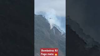 Bombeiros do RJ apagando fogo 🔥 na mata Itanhangá helicóptero bombeirosbrasil bombeirosrj Barra [upl. by Grunberg]