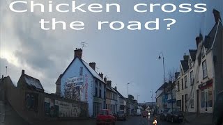 Why Did The Chicken Cross The Road [upl. by Ellevel297]