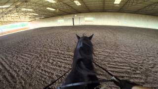 GoPro video dressage ride [upl. by Sidwel]