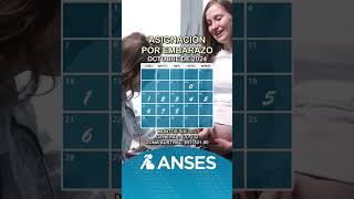 Calendario de Anses con las fechas de pago de la asignación por embarazo en octubre de 2024 anses [upl. by Eimmot]