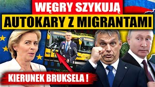 WÄ˜GRY SZYKUJÄ„ AUTOKARY Z MIGRANTAMI  KIERUNEK BRUKSELA [upl. by Fleming]