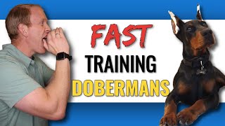 Training a Doberman to Understand Your Commands [upl. by Geilich]