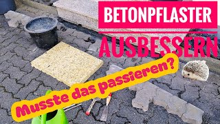 Betonpflaster ausbessern leicht gemacht [upl. by Kelvin]