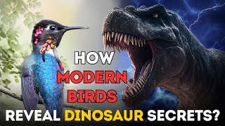 How Modern Birds Reveal Dinosaur Secrets Part 1 [upl. by Robbin998]