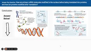 20 DNA Packaging and Control of Transcription Video [upl. by Ange]