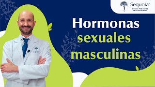 ¿Hormonas sexuales masculinas [upl. by Acirtal41]