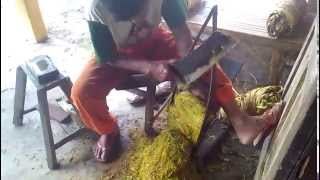 Traditional cutting tobacco in Indonesia [upl. by Sillsby]