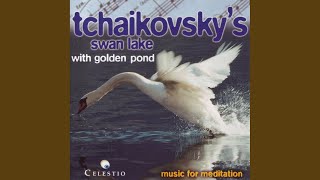 Spanish Dance  Spanischer Tanz  Schwanensee PI Tchaikovsky  Ballet Suite From Swan Lake [upl. by Ahsoek]